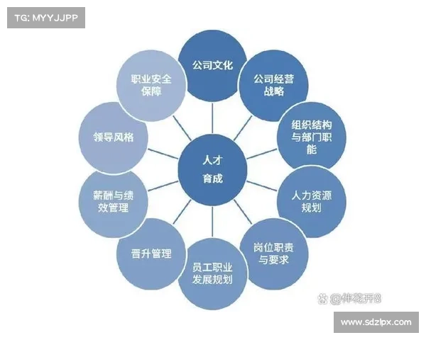 DK宏技术应用中的五大优化策略与提升效果的关键路径分析 DK宏技术应用中的五大优化策略与提升效果的关键路径分析