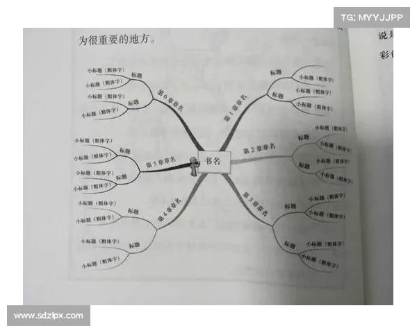 掌握科学方法与生活妙招全面提升应对气象变化的实用能力 掌握科学方法与生活妙招全面提升应对气象变化的实用能力